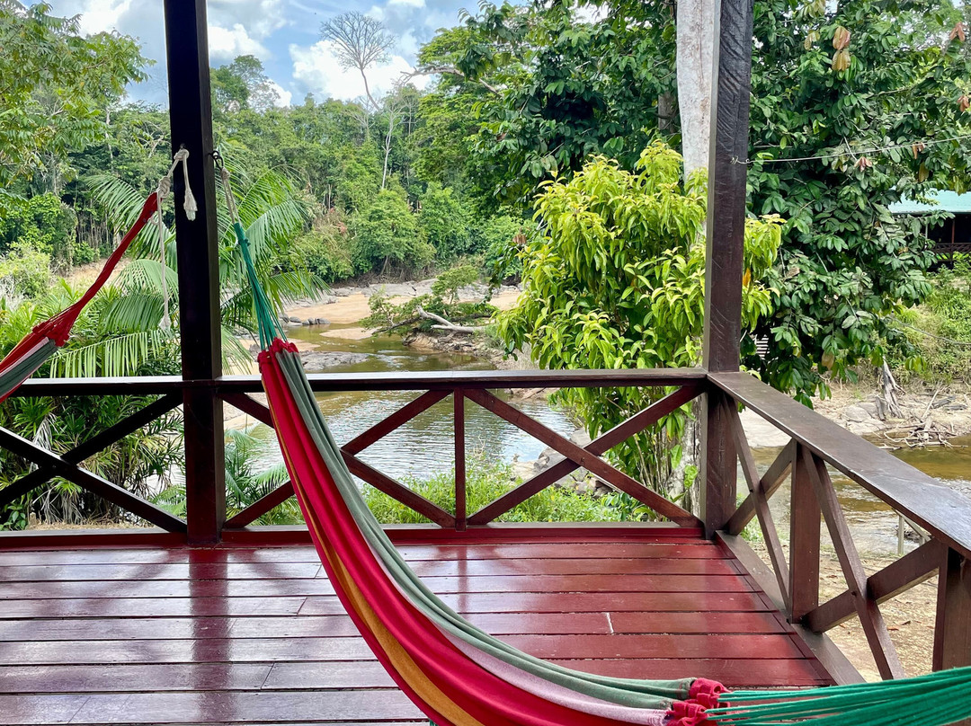Knini Paati - Jungle & River Eco Resort主图