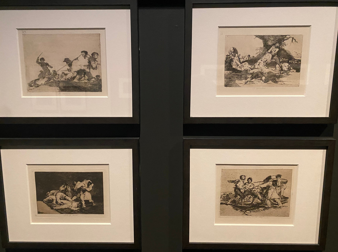 Museum De Reede-安特卫普必去景点