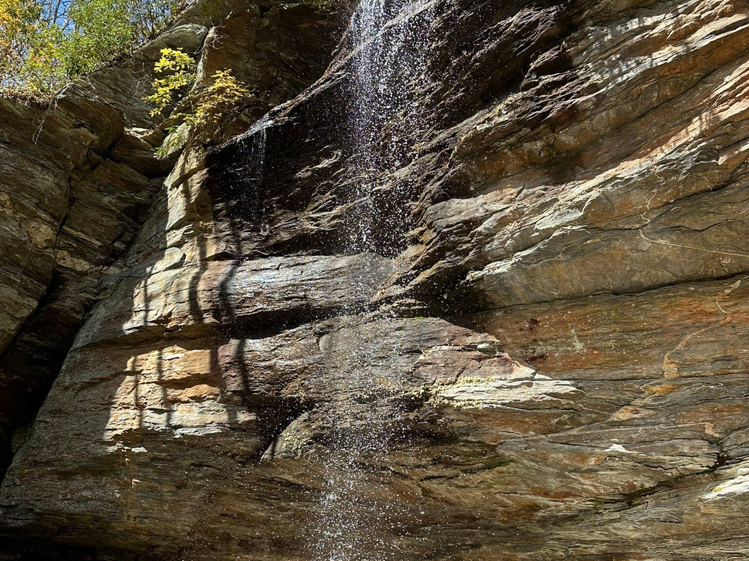 Bent Creek Lodge主图