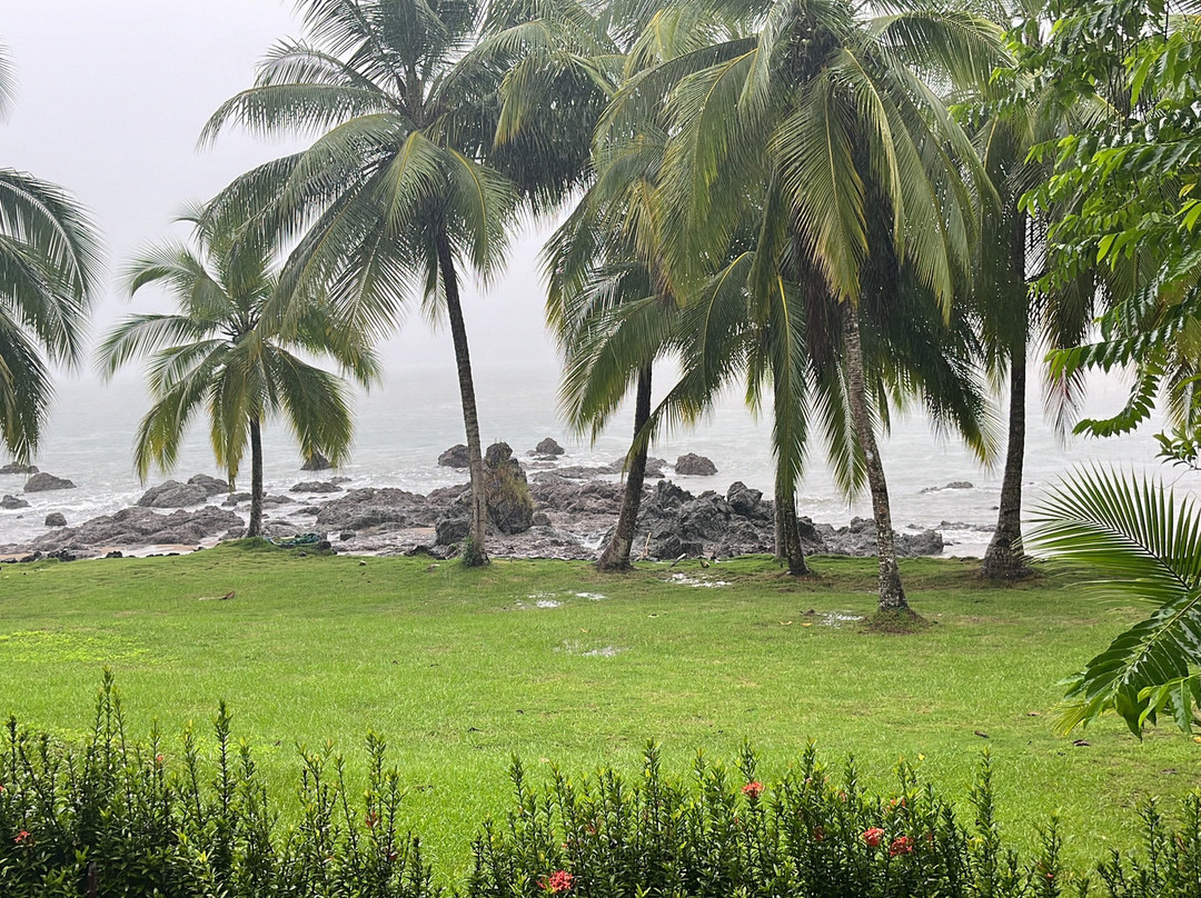 Drake Bay Wilderness Resort主图