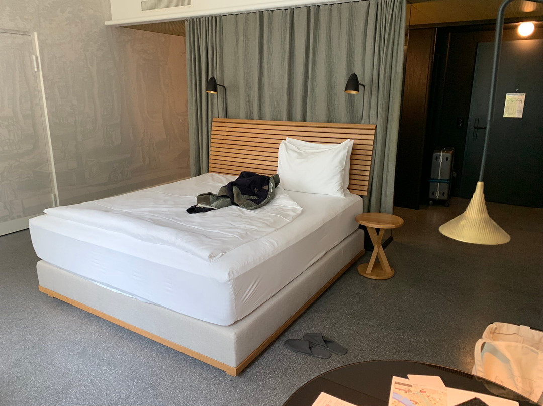 Boutique & Design Hotel Volkshaus Basel主图