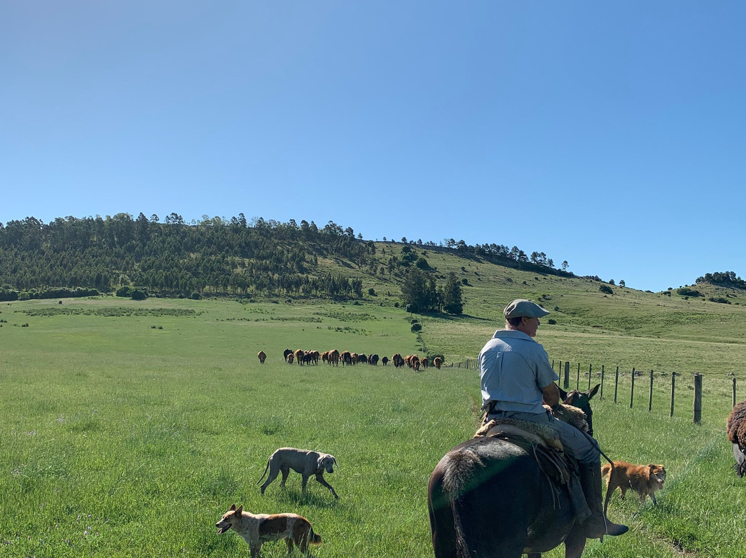 Estancia La Pilona Horse Farm-Mariscala必去景点