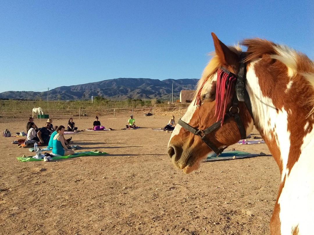 Rancho Cavalli-Alhama de Murcia必去景点