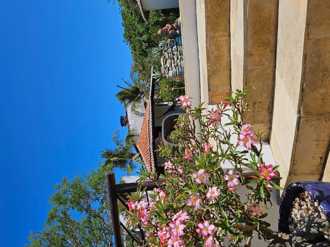 艾斯帕克诺瓦艾拉泡萨达酒店主图