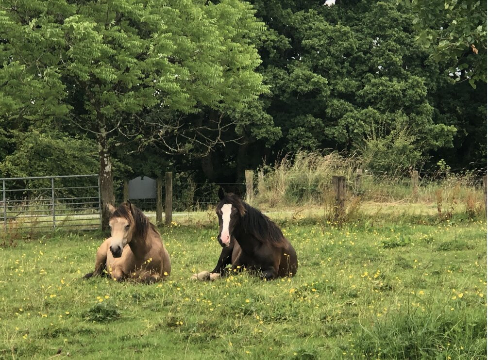 Riversdale Farm B&B主图