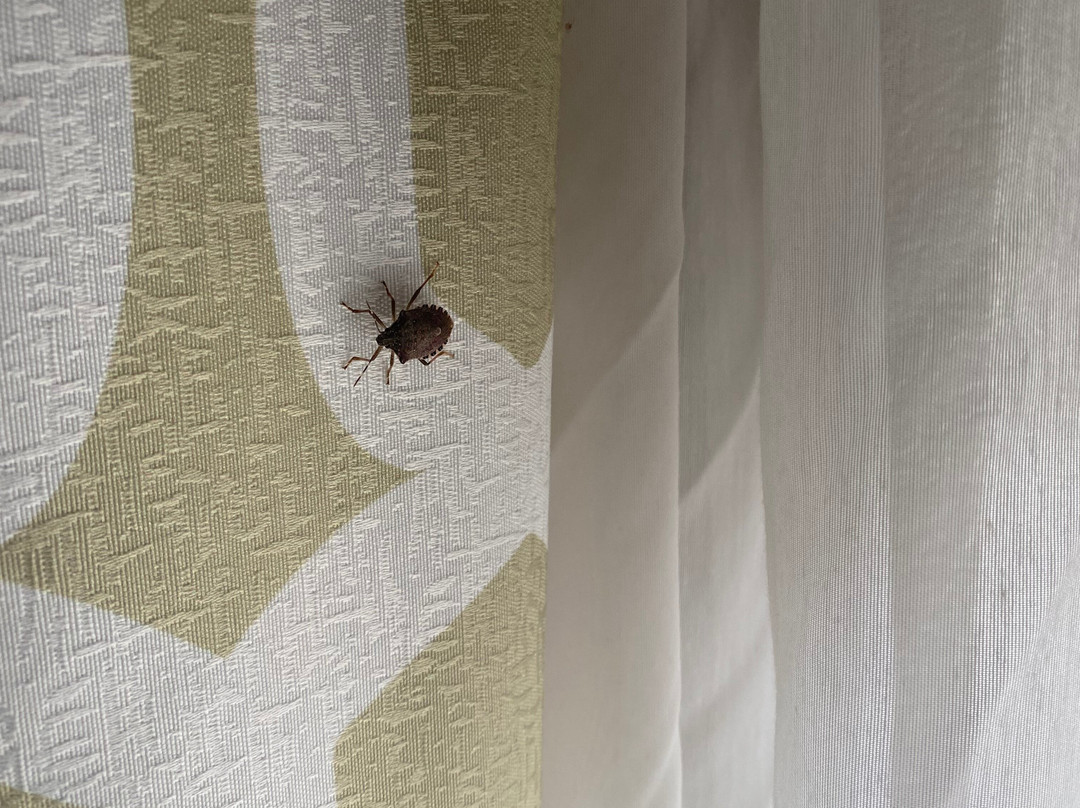 Hampton Inn & Suites Atlanta/Duluth/Gwinnett County主图