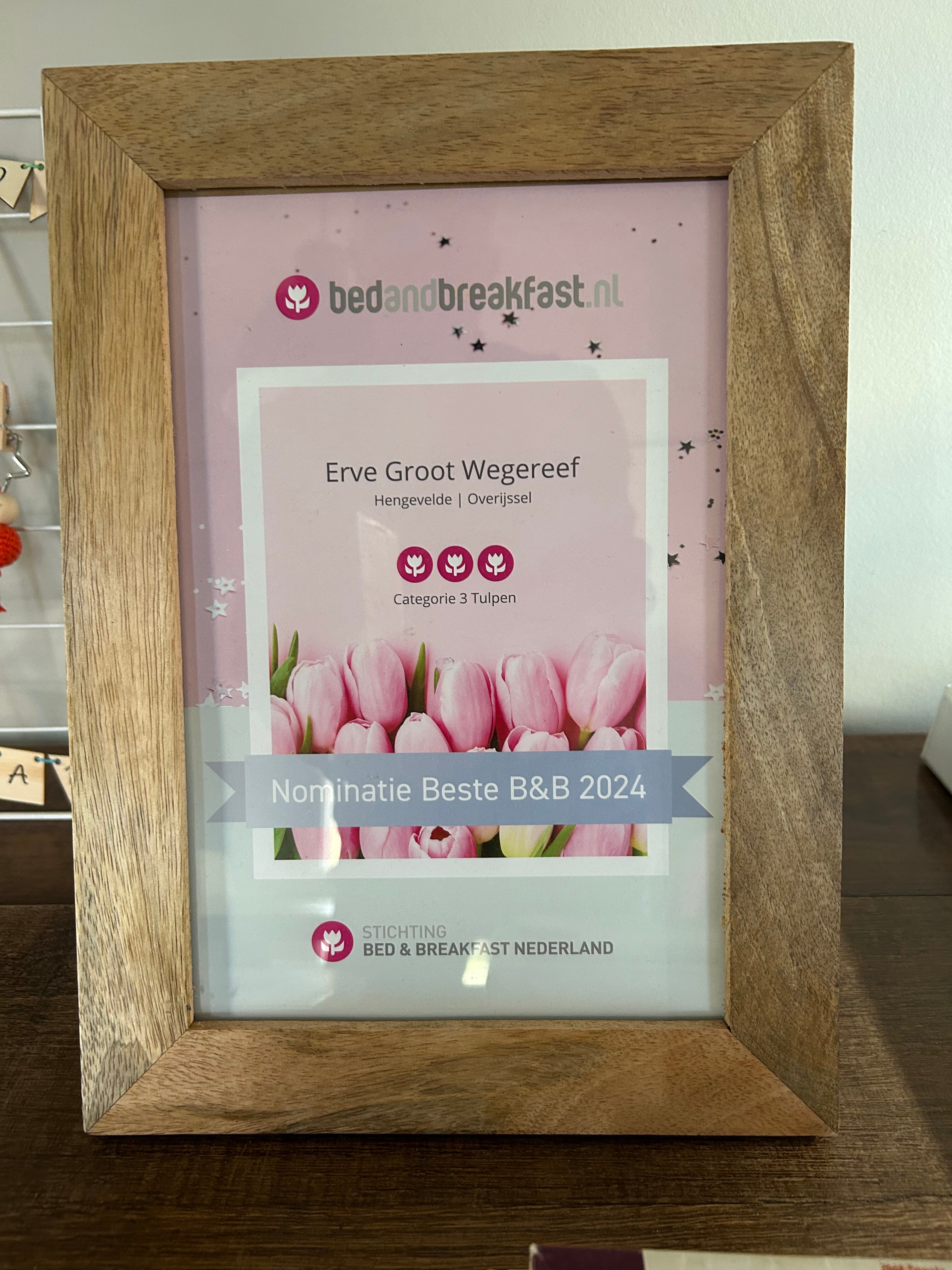 B&B Erve Groot Wegereef-客卧