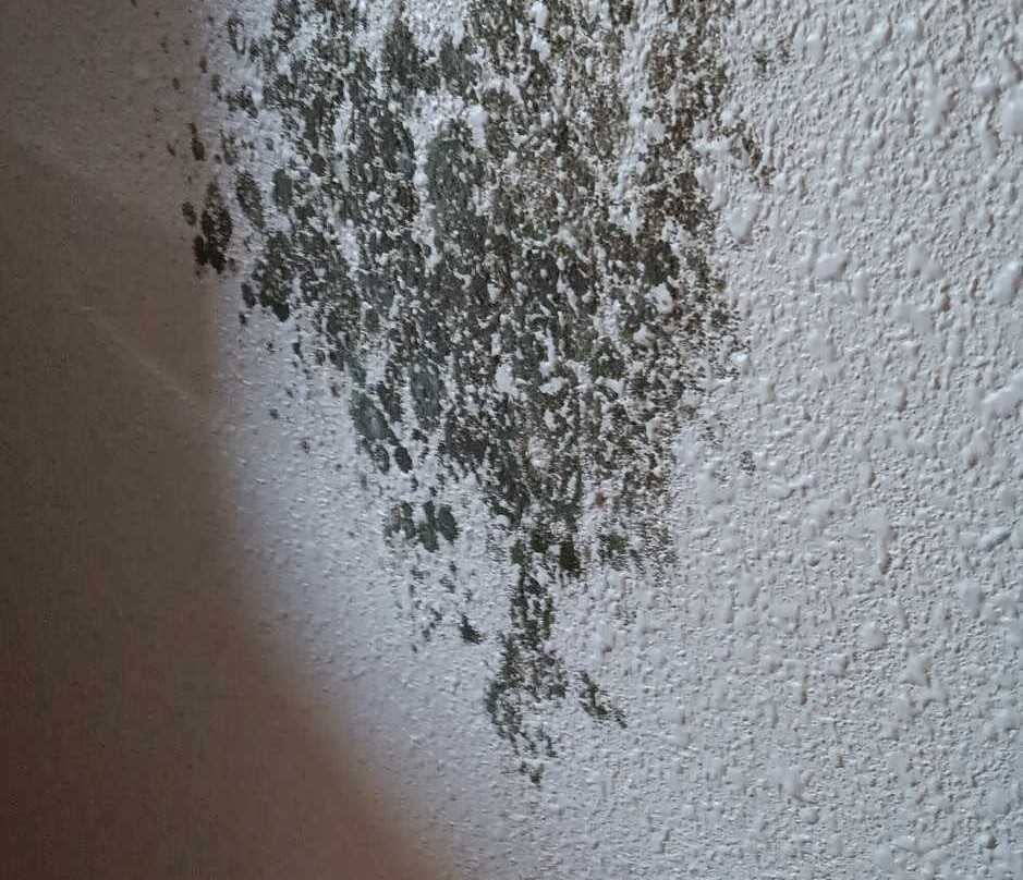 Quality Inn Frontier At U.S. Hwy 30主图