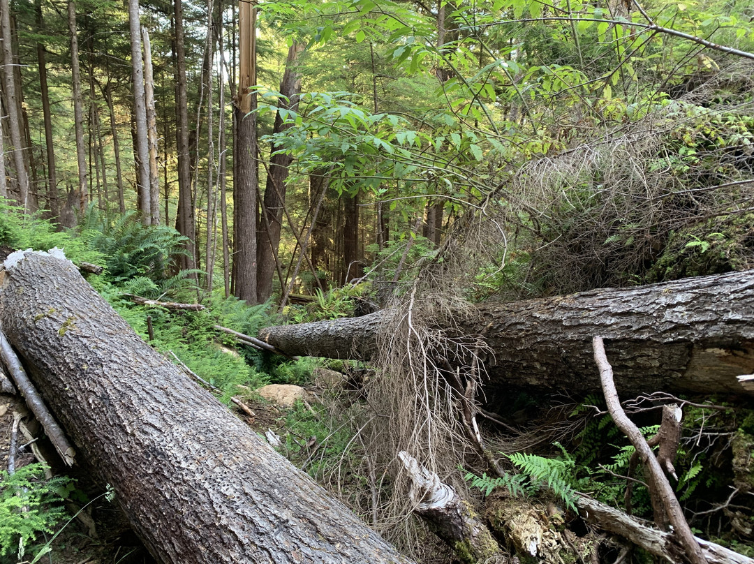 Regier Lake Trail-Daajing Giids必去景点