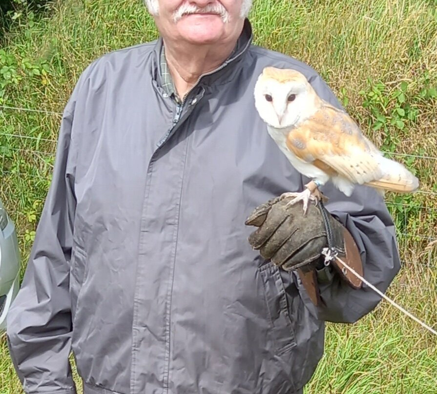 North Devon Hawk Walks景点图片