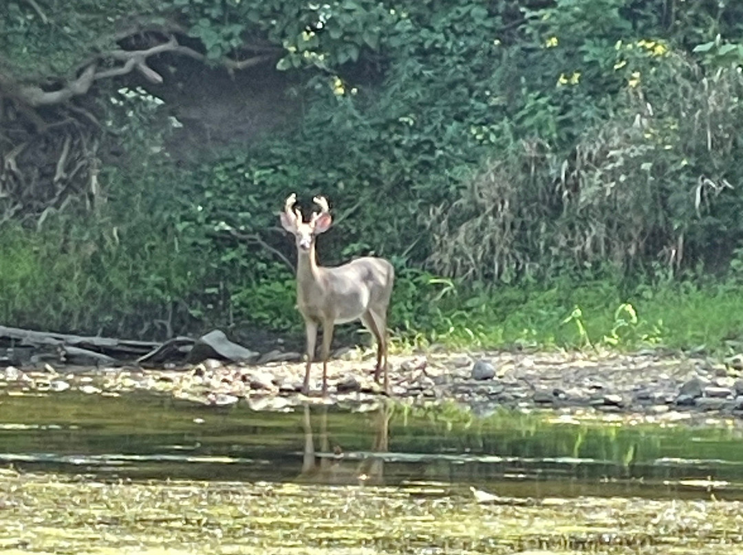 Humiston Woods Nature Center-Pontiac必去景点