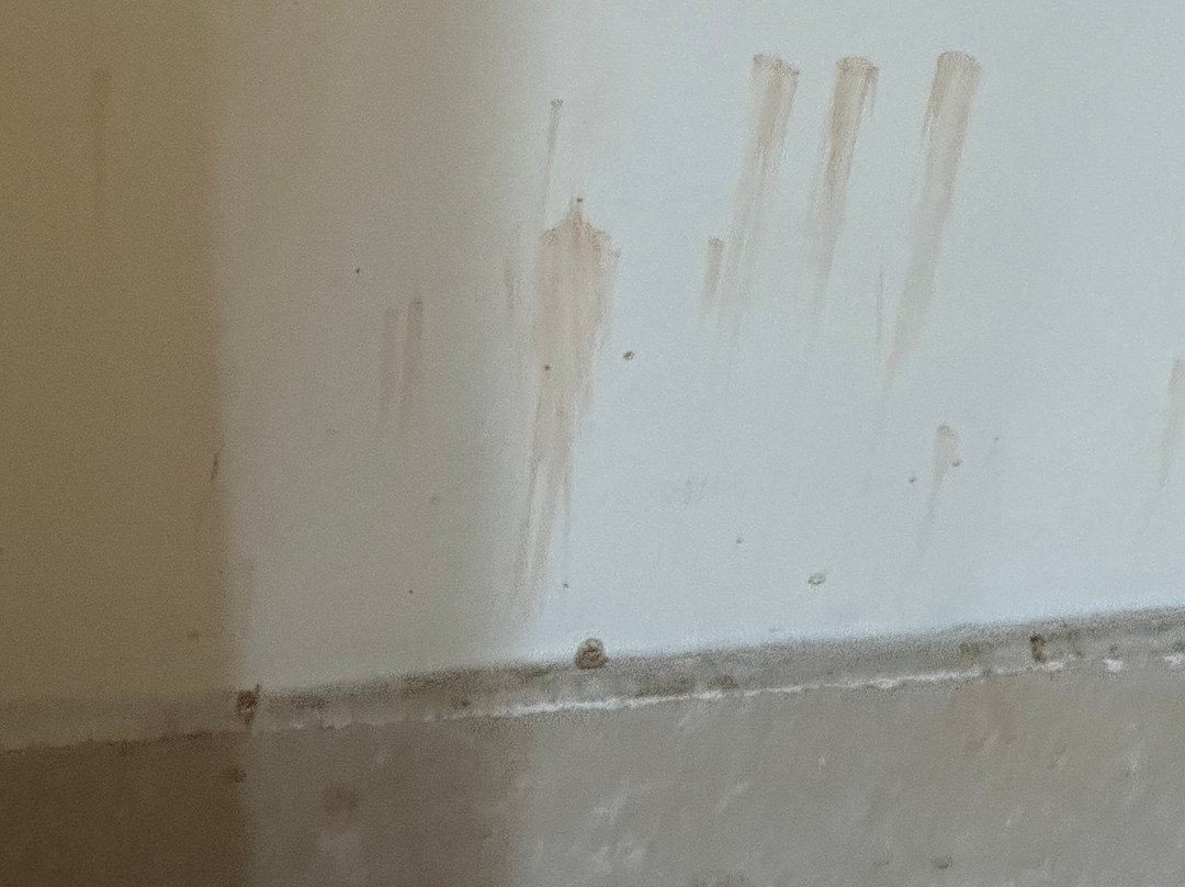 Spree Hotel Agra主图