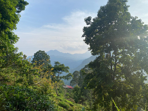 Ceylon Premium Tours-埃勒必去景点