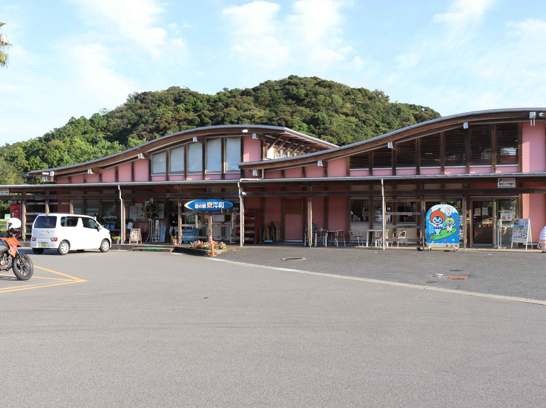 Umi no Eki Toyo-东洋町必去景点