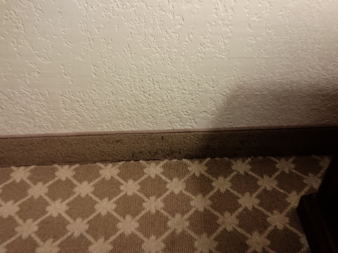 Quality Inn & Suites主图