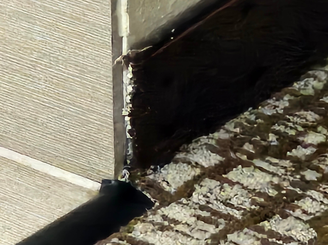 Comfort Inn Paducah I-24主图