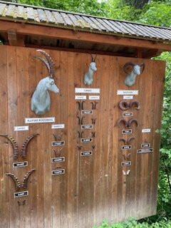 ZOO Ljubljana-卢布尔雅那必去景点