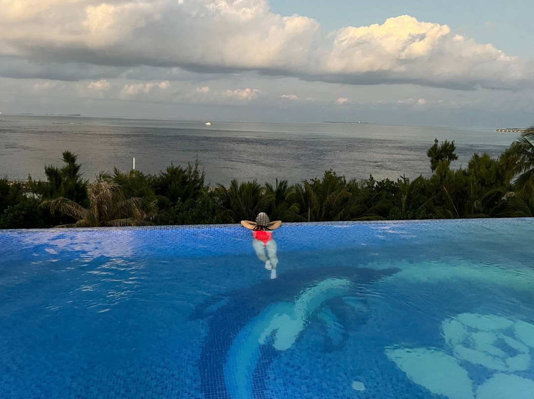 Season Paradise主图