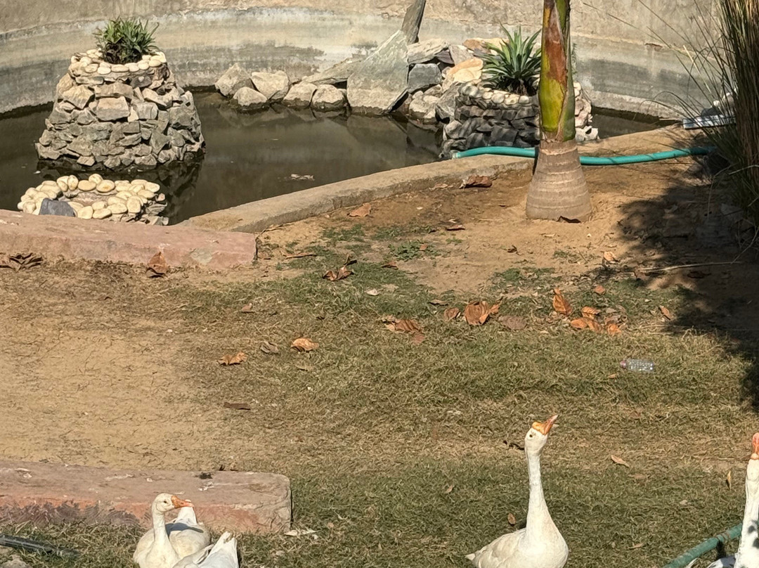 黄金宫殿度假酒店主图