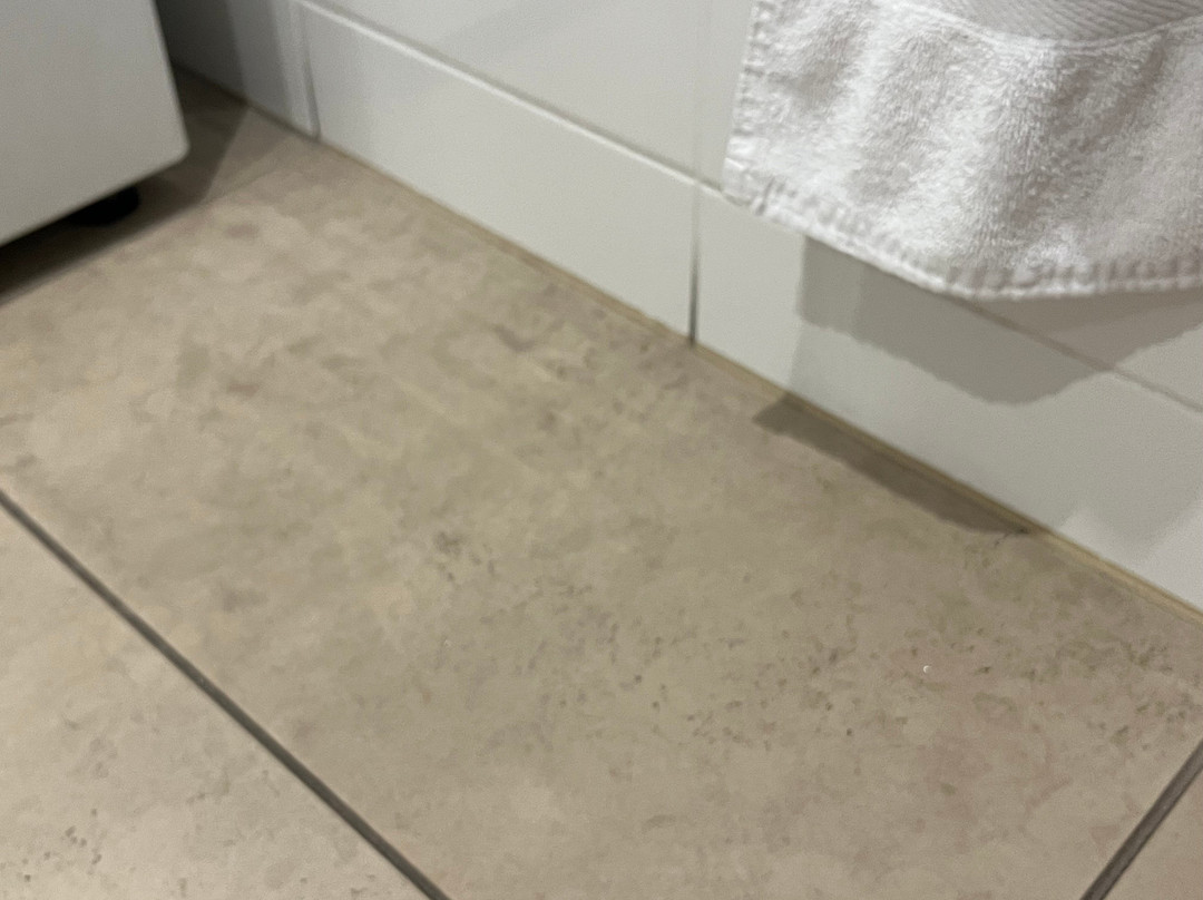 Adara Richmond主图