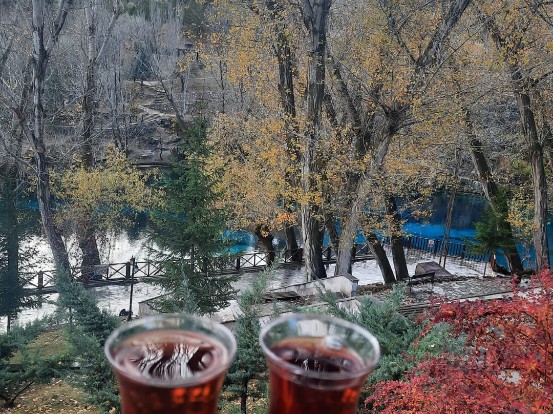 Selyus Erten Tourism Travel景点图片