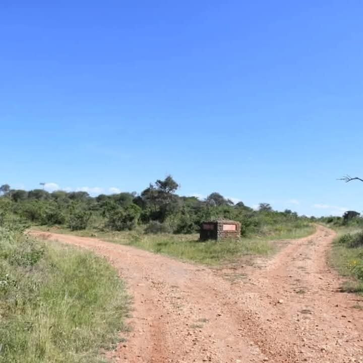 Mwea National Reserve景点图片