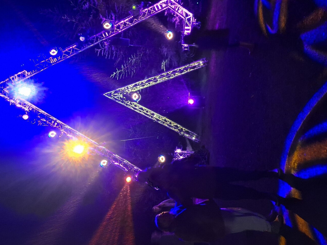 Bedgebury National Pinetum And Forest-Goudhurst必去景点