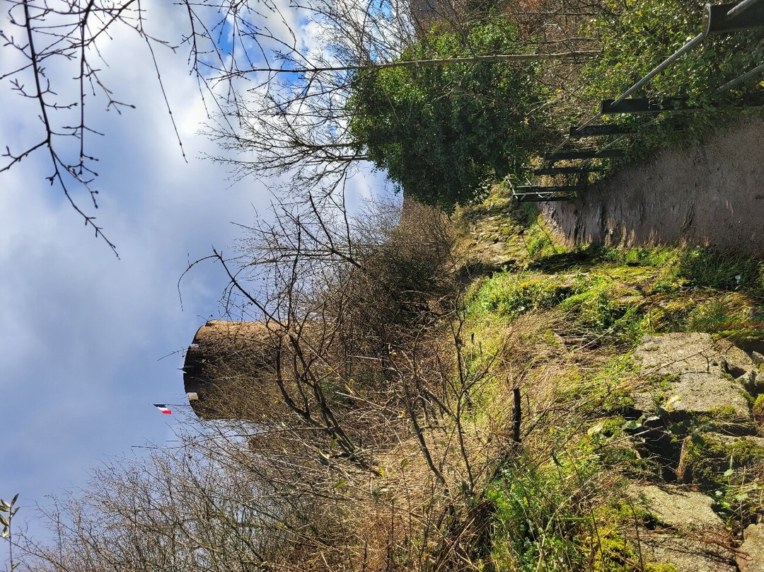 Château de Kaysersberg景点图片