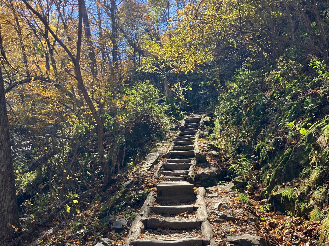Dark Hollow Falls景点图片
