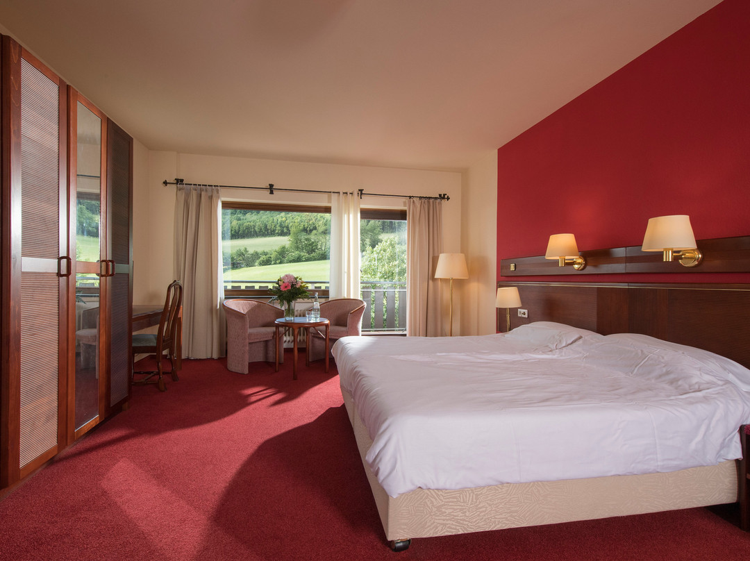 Sauerland Alpin Hotel主图