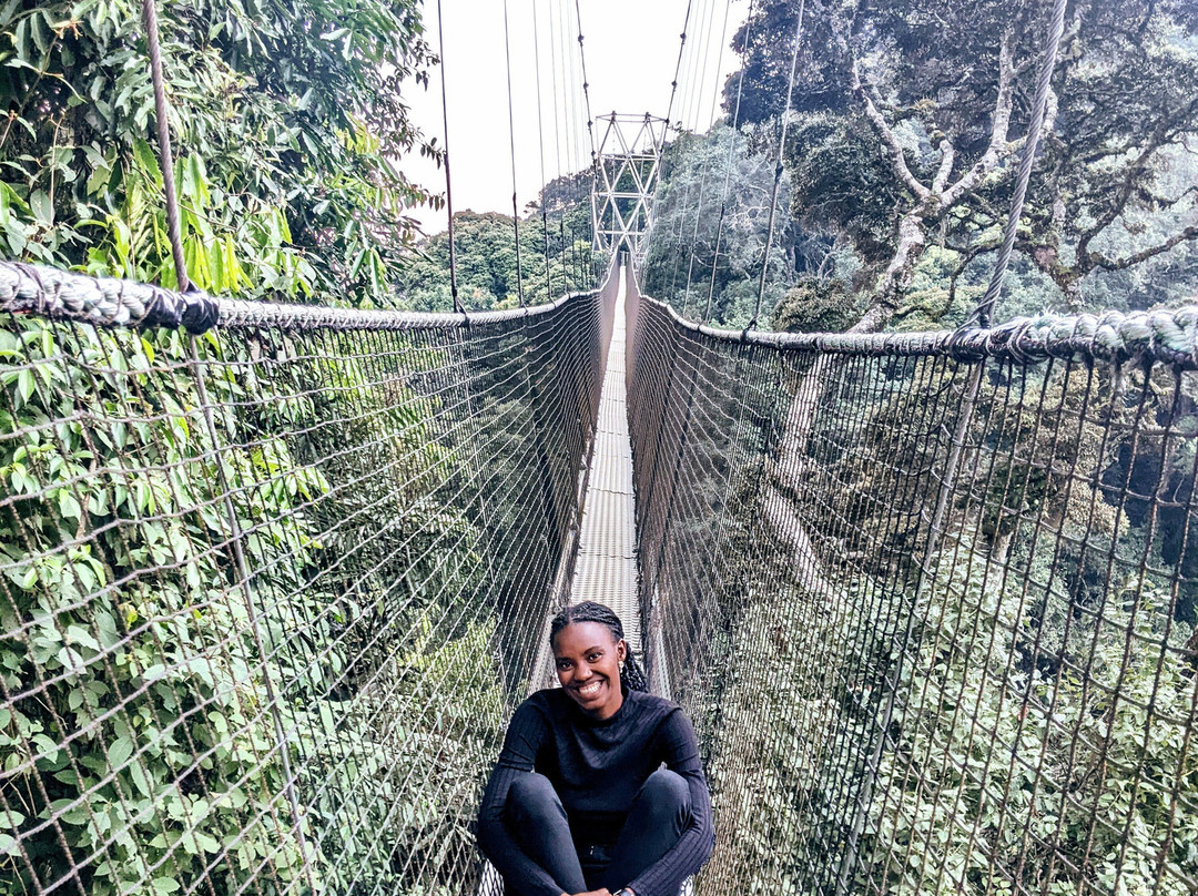 Dino Africa景点图片