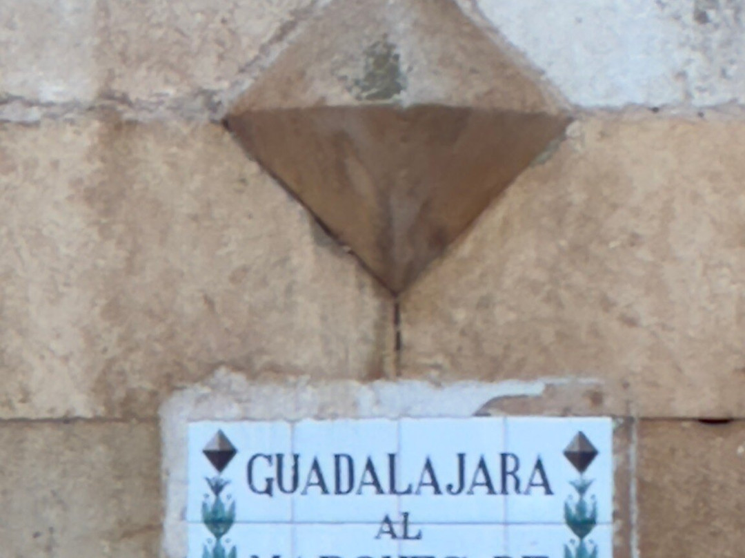 Palacio del Infantado景点图片