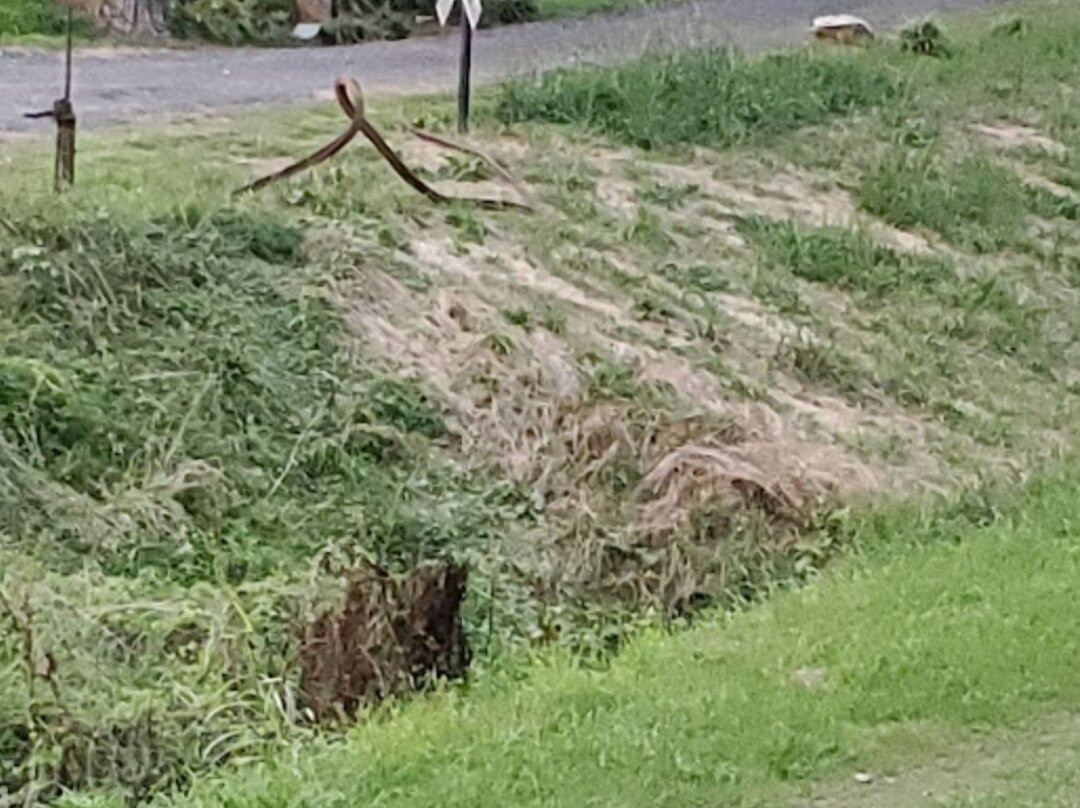 Allatoona Pass Battlefield Park-Cartersville必去景点