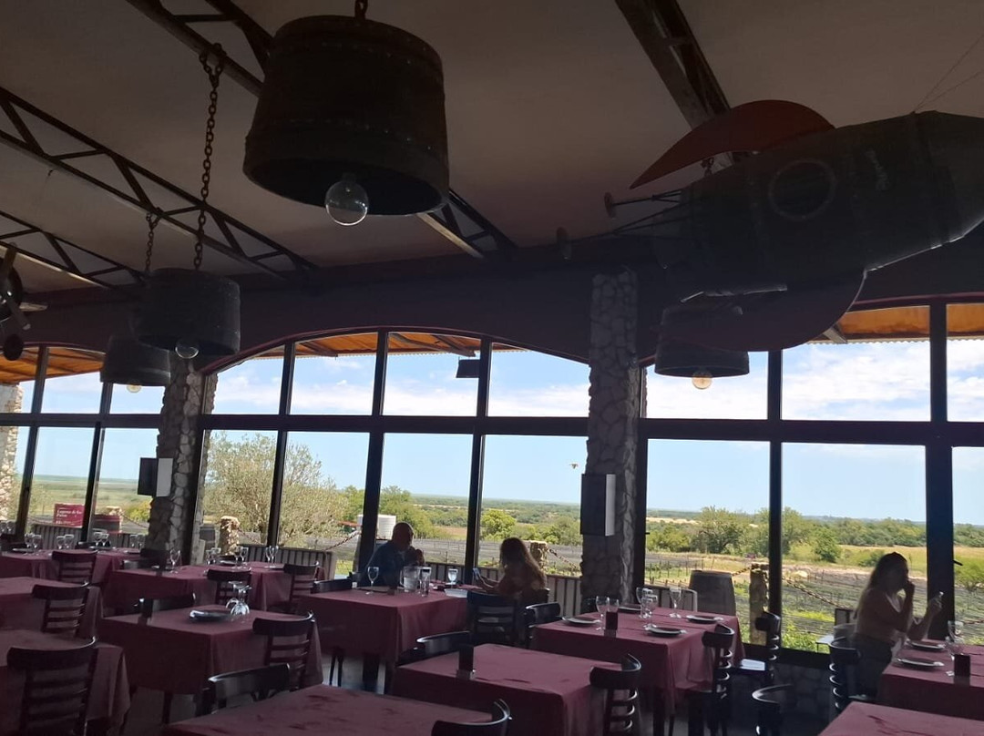 BordeRío Bodega & Viñedos景点图片