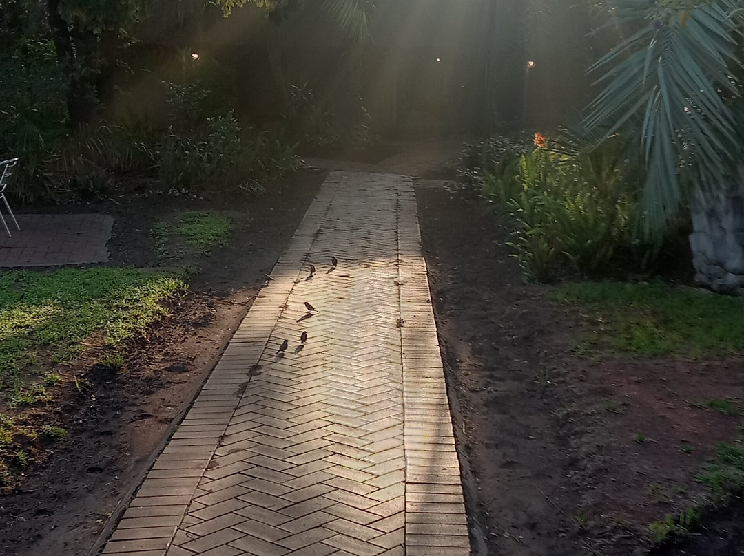 The Safari Club Guest Lodge主图