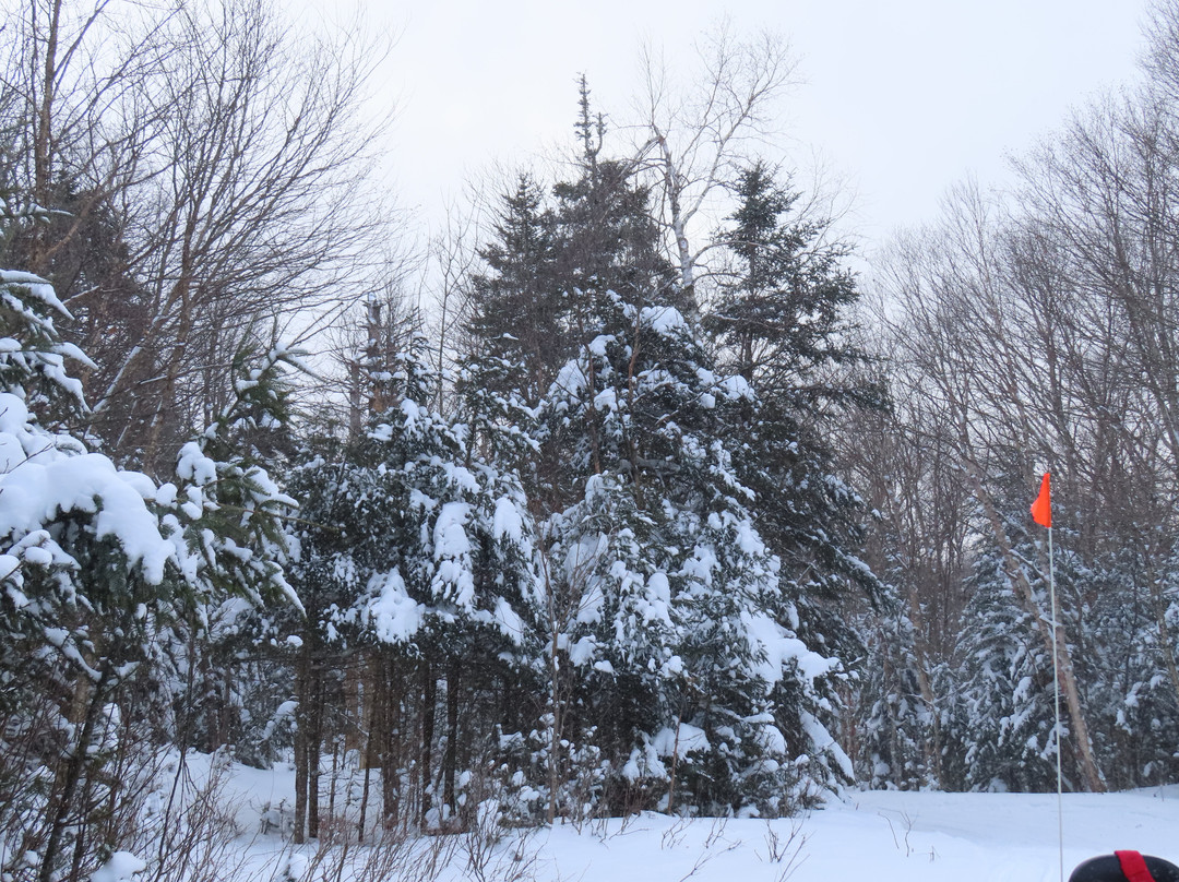 Vermont Mountain Adventures-曼彻斯特必去景点