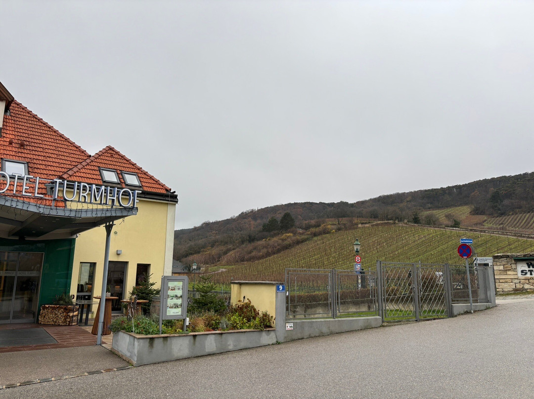 Hotel Turmhof主图