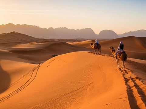 Origins Travel Group