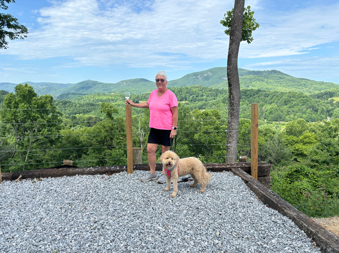 Point Lookout Vineyards景点图片