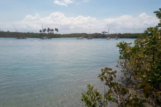 Emoçoes Tuor-累西腓必去景点