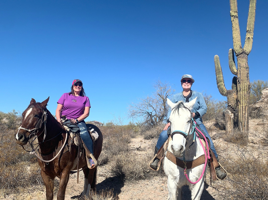 Arizona Horse Company-Wickenburg必去景点