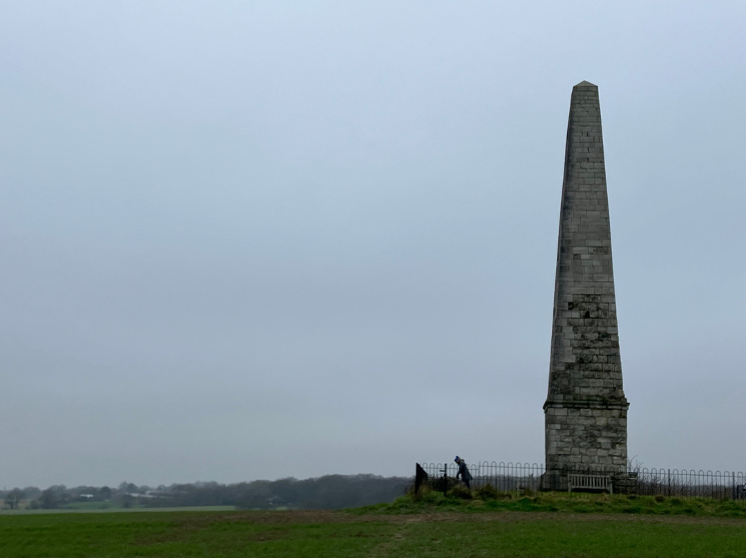 The Cosway Monument Bilsington景点图片