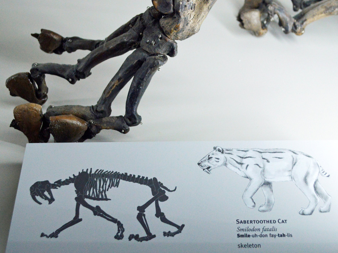 Museum of Natural and Cultural History-尤金必去景点