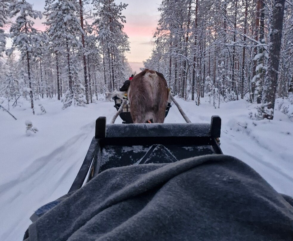 Wild About Lapland-罗瓦涅米必去景点