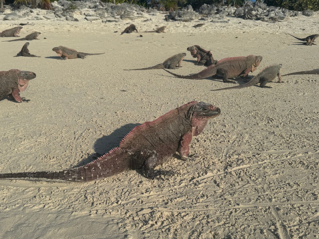 Aquaquest Escapes-George Town必去景点