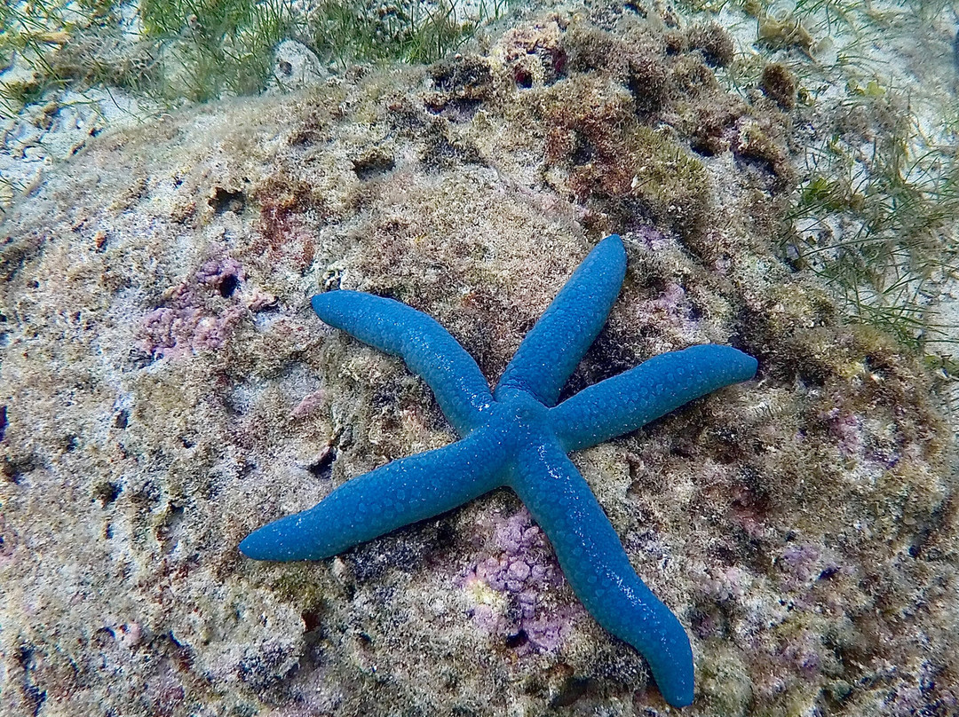 Stone Creek House主图