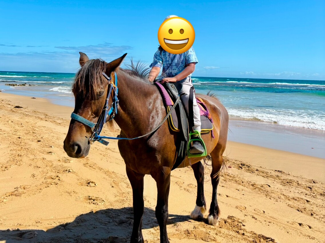 Gunnamatta Trail Rides景点图片