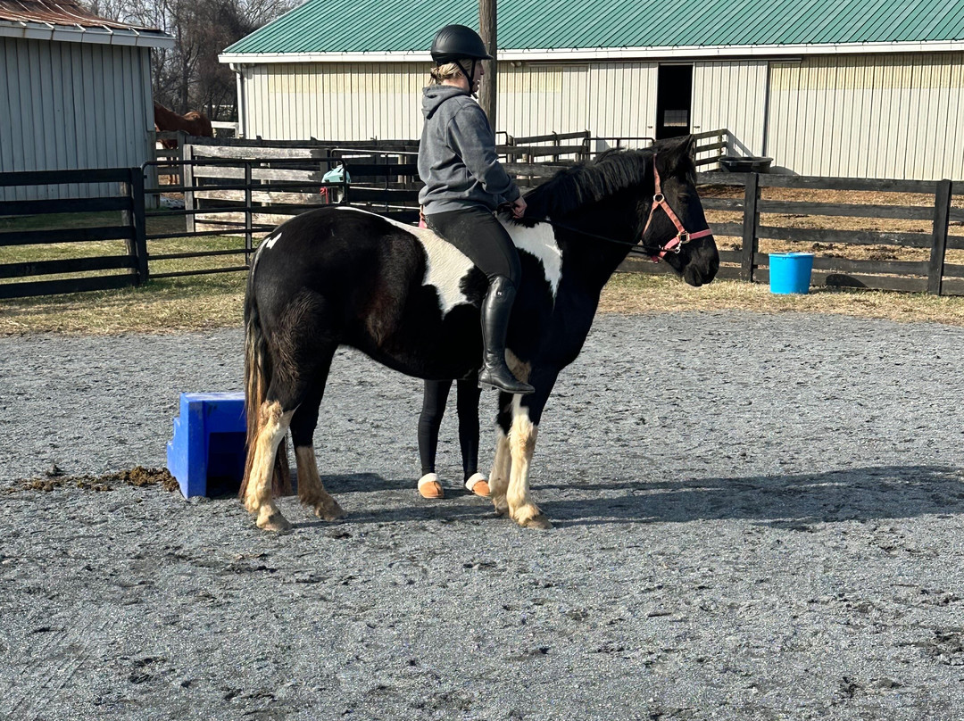 Posh Pony Trails景点图片