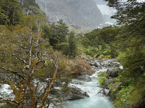 Wānaka Mountain Guides-瓦纳卡必去景点