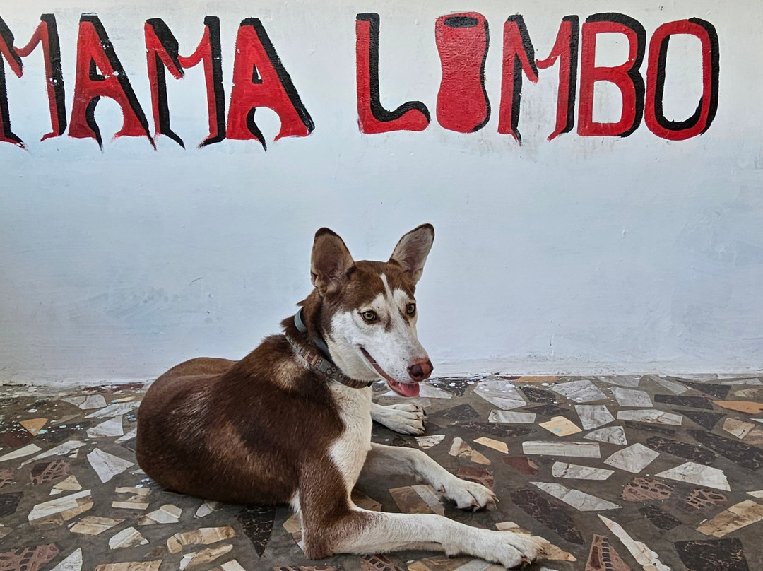 Mama Limbo主图